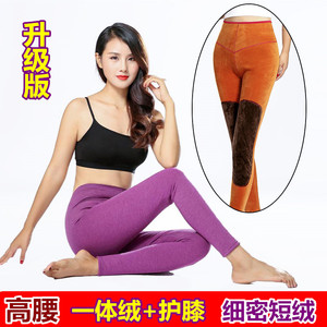 秋冬新品女士加绒加厚高腰保暖裤带护膝中老年大码秋裤衬裤打底裤