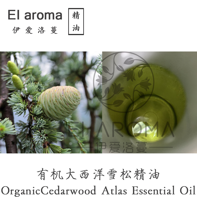 摩洛哥有机大西洋雪松单方精油10ML香气宽厚 Cedarwood Atlas-封面