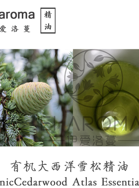 摩洛哥 有机大西洋雪松单方精油10ML 香气宽厚 Cedarwood Atlas