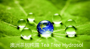 澳洲有机茶树纯露 祛-痘 控油 收敛 天然植物花水 补水喷雾100ML