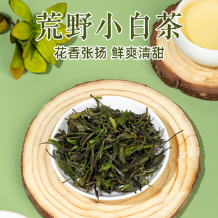 2025年荒野小白茶 建阳漳墩贡眉 高山老枞菜茶 清香甘甜