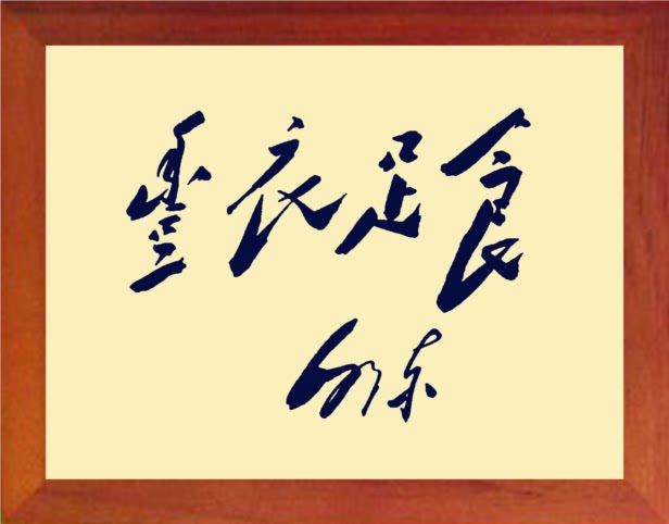 营养书画 天然实木有框画现代装饰画挂摆件 毛体书法 丰衣足食