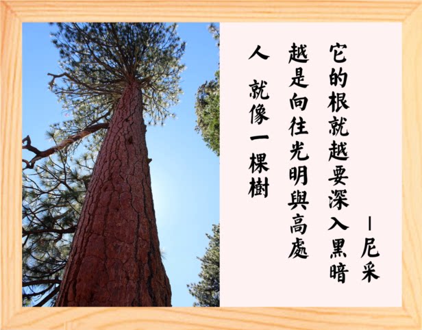 营养书画 天然实木有框画装饰画挂摆件 越是向往光明越要深入黑暗