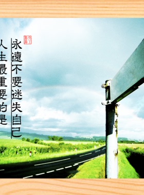 装饰画挂摆件永远不要迷失自己