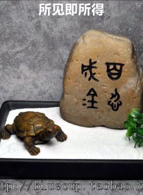 天然艺术中式风微景观创意摆件