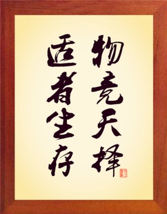 营养书画 天然实木有框画简约现代装饰画挂摆件 物竞天择适者生存