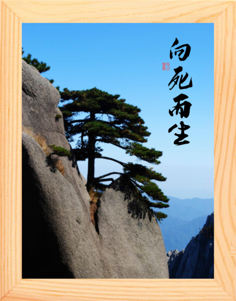 营养书画 天然实木有框画哲理画办公励志简约挂摆件 向死而生