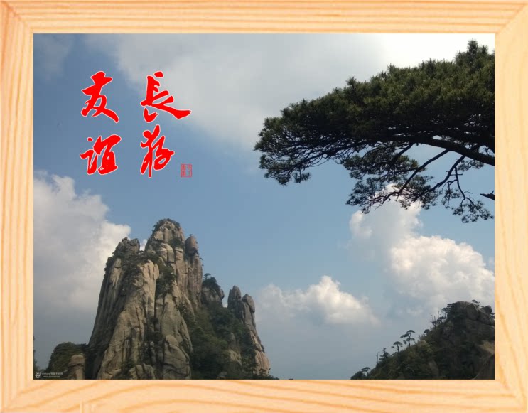 营养书画 天然实木有框画简约现代装饰画送友人挂摆件 友谊长存