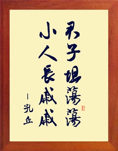 简约现代挂摆件 君子坦荡荡 进口实木有框画 营养书画 小人长戚戚