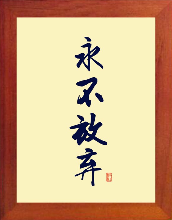 营养书画 进口实木有框画 简约现代装饰画挂摆件 书法 永不放弃