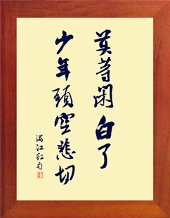 营养书画 进口实木有框画简约现代装饰画 莫等闲白了少年头空悲切