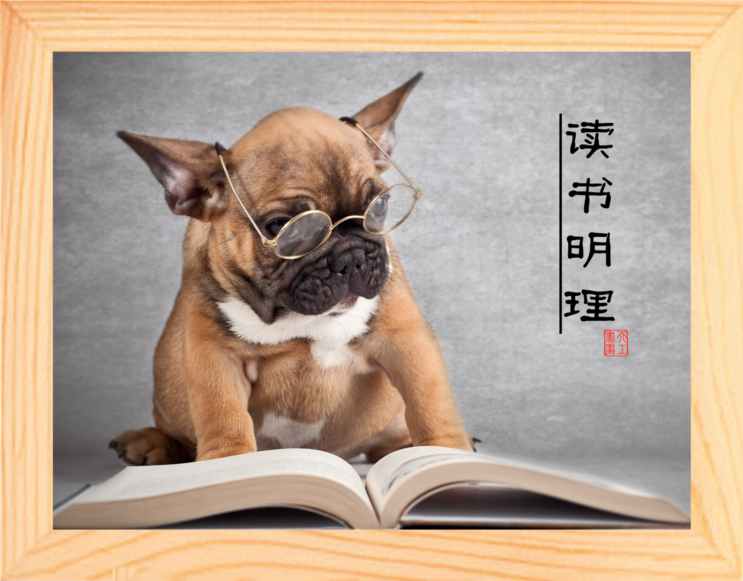 营养书画 天然实木有框画简约现代装饰画学习桌挂摆件 读书明理