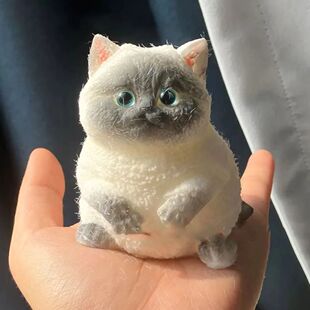 Simulation Cute Cat Soft Squeeze With Flocking Surface Slow