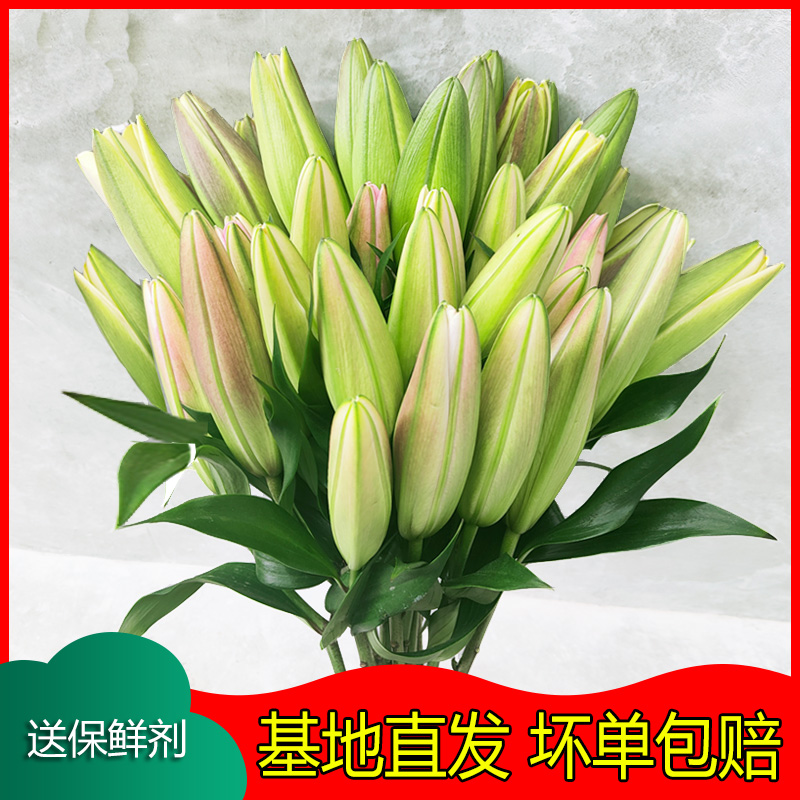 香水百合花鲜花云南昆明直批基地直发水养花束速递同城教师节家用