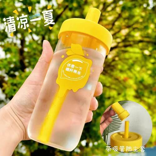 耐高温玻璃水杯女生高颜值带吸管玻璃杯办公室花茶ins风泡茶水杯