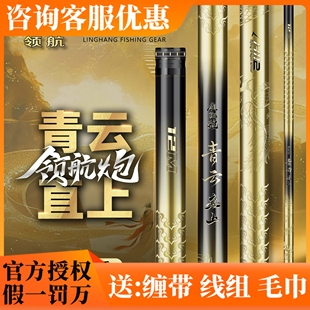 艾蒂欧领航青云直上龙腾版传统炮竿超硬挺直19调长杆鲫竿逗钓竿