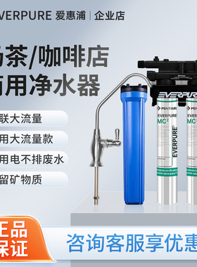 爱惠浦MC2双联净水器商用大流量直饮水机奶茶咖啡店专用过滤器