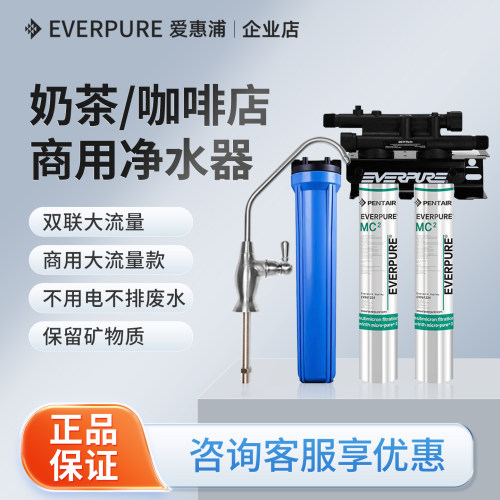 爱惠浦双联商用过滤器mc2净水器