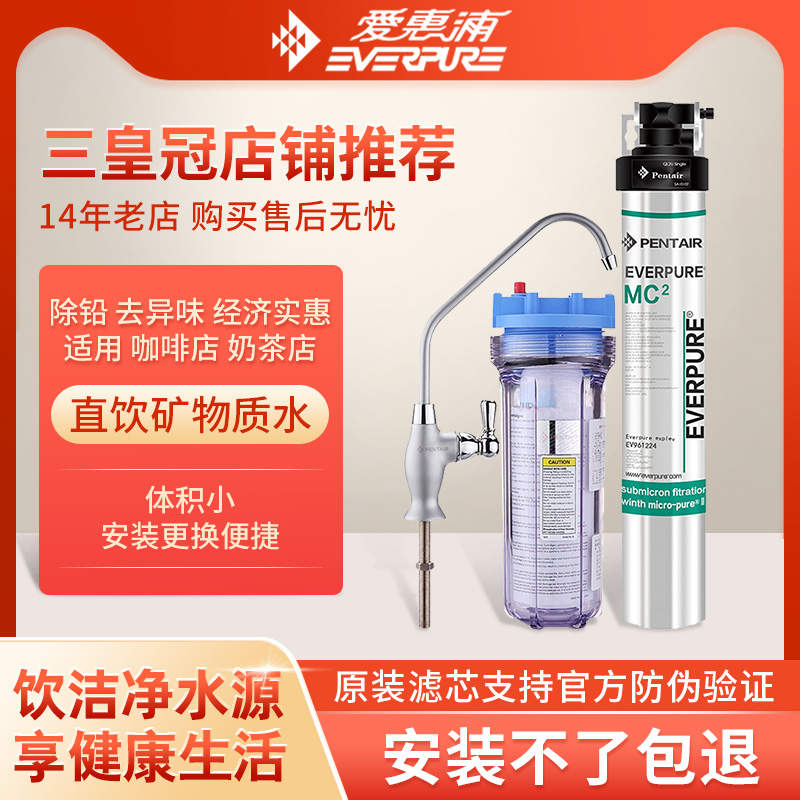 爱惠M浦C2净水器商用奶茶店直饮水大流量家用厨房厨下净水器EF900