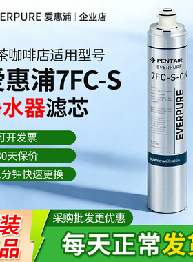 爱惠浦7FC-S-CN滤芯商用净水器原装咖啡奶茶店大流量4FC-S-CN滤材