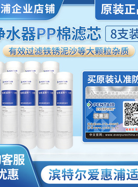 滨特尔爱惠浦PP棉滤芯净水器10寸前置活性炭20英寸5微米1微米通用