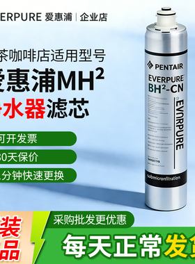 爱惠浦MH2-CN滤芯商用净水器原装咖啡奶茶店大流量直饮配件耗材