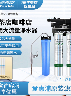 爱惠浦净水器商用MC2双联净水器大流量奶茶店咖啡店专用饮水机