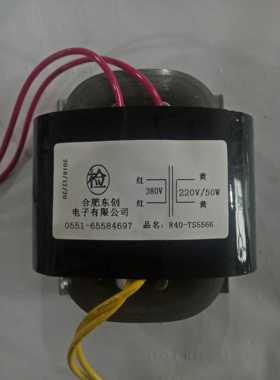 R型隔离变压器 50W R40变压器 380V转220V 可定做各种功率