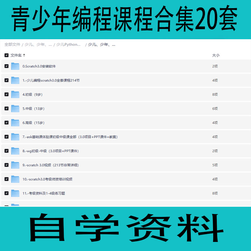 青少年编程课程合集20套从入门到高级自学资料学习资源
