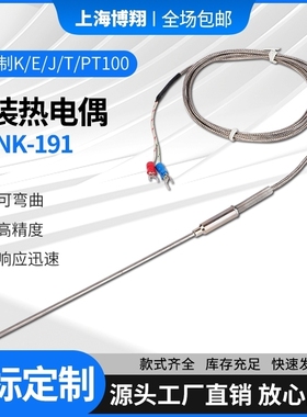 K型铠装热电偶E/J针型WRNK-191测温线PT100温度传感器高精度探头