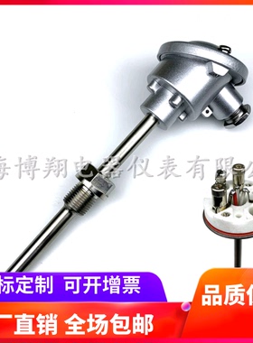 铠装热电阻 PT100铂电阻 代替德国JUMO久茂温度传感器902020/10
