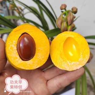 云南蒙自野生鸡蛋果