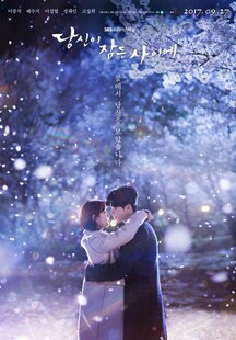 盒装定制/设计 当你沉睡时 李钟硕 裴秀智  DVD 盘面图案