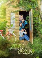 盒装定制/设计 美好爱情精彩人生 金宰英 吴珉锡  DVD 盘面图案