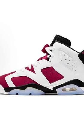 Air Jordan 6 Retro 