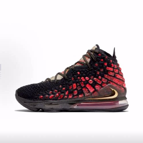 Nike Lebron 17 E EP 