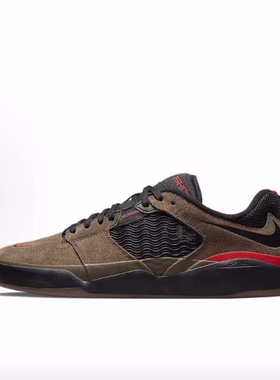 Nike SB Ishod 