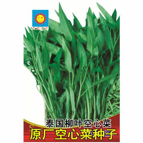 青水培蔬菜价格 青水培蔬菜图片 星期三