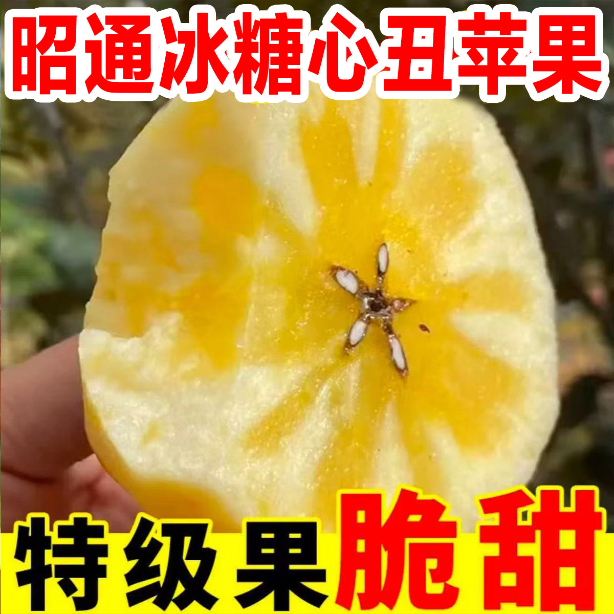 云南昭通丑苹果新鲜水果当季冰糖心红露苹果现摘红富士邵通脆甜,水产肉类/新鲜蔬果/熟食,苹果,淘宝优惠券,粉丝福利购,淘宝优惠卷