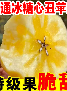 云南昭通丑苹果新鲜水果当季冰糖心红露苹果现摘红富士邵通脆甜