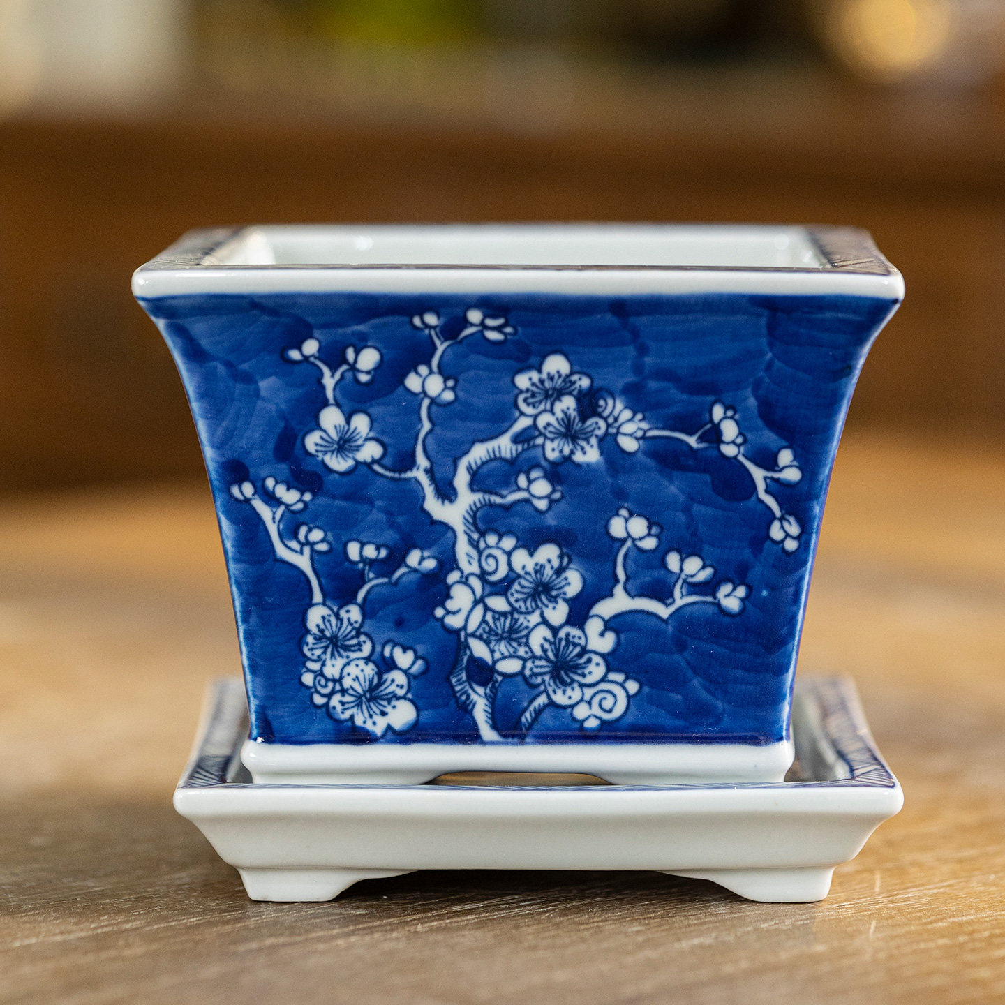 帛画青花瓷梅花方形花盆陶瓷透气手工中式古典盆景陶瓷迷你小花盆