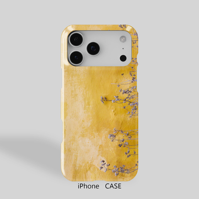 半包硬壳苹果16Promax创意简约