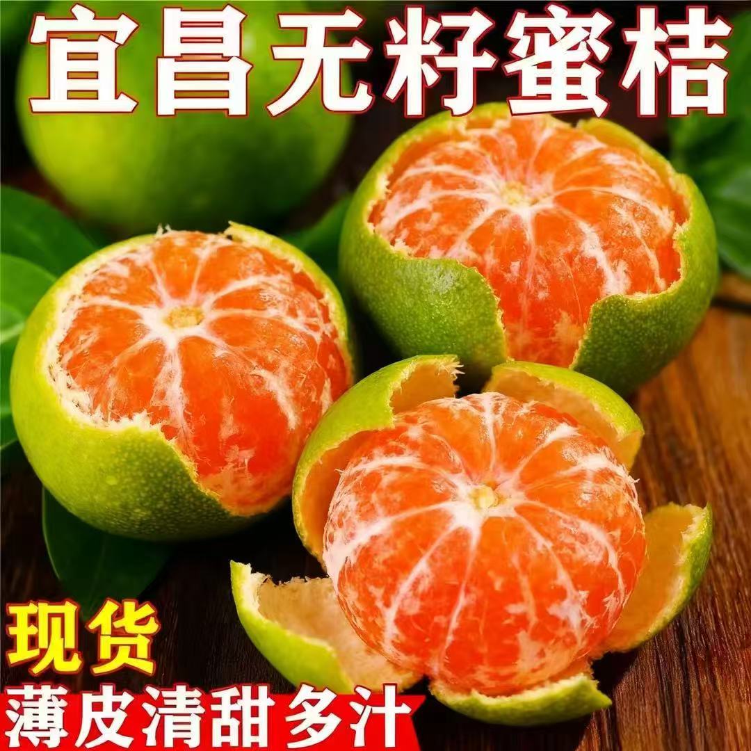 新鲜蜜桔现摘橘子湖北当季水果