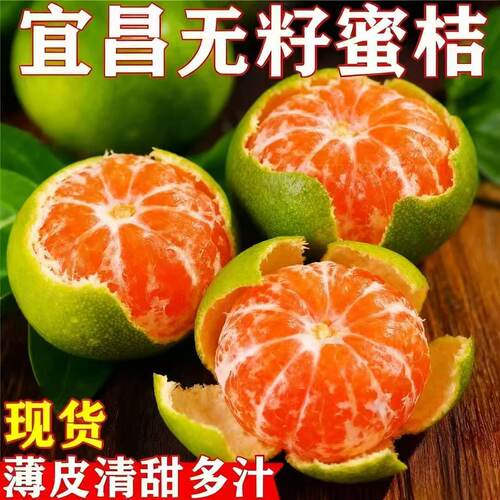 新鲜蜜桔现摘橘子湖北当季水果