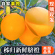 包邮 正宗秭归脐橙宜昌新鲜纽荷尔橙子伦晚当季 水果9斤纯甜
