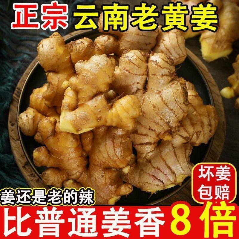 云南老姜现挖黄姜老姜沙姜仔姜月子姜农家南姜干姜生姜,水产肉类/新鲜蔬果/熟食,生姜/南姜,淘宝优惠券,粉丝福利购,淘宝优惠卷