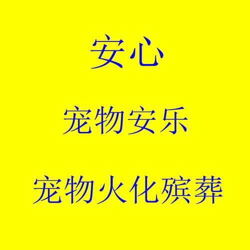 北京宠物犬猫兔安乐死服务火化殡葬上门服务孙医生