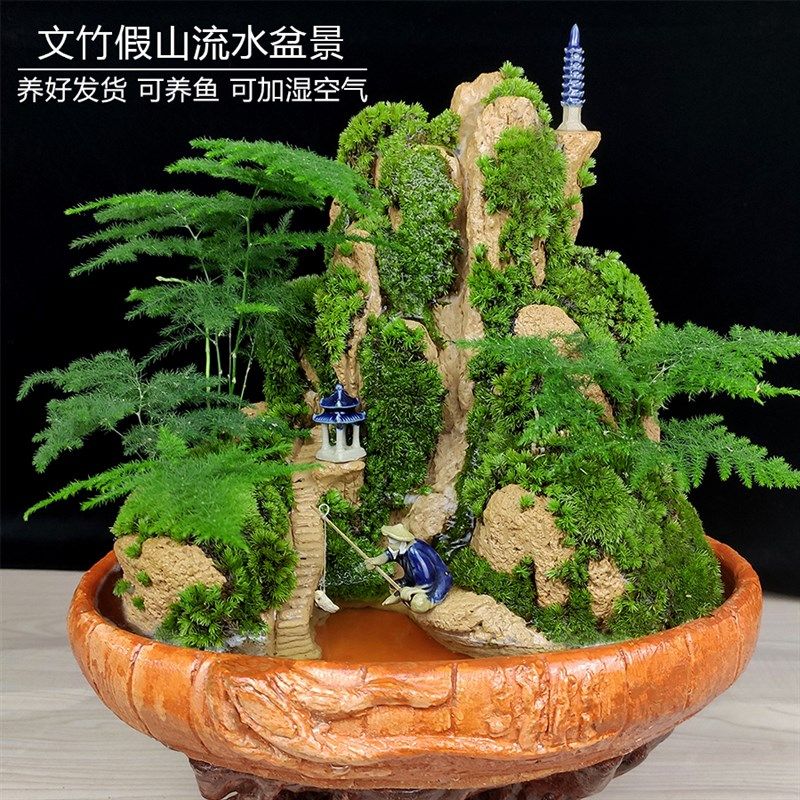 山水盆景六月雪罗汉松文竹盆栽树桩悬崖I植物室内吸水石假山小绿