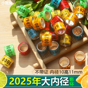 2025年大内径鸽环鸽子脚环信鸽C足环元宝鸽肉鸽观赏鸽脚圈用品用