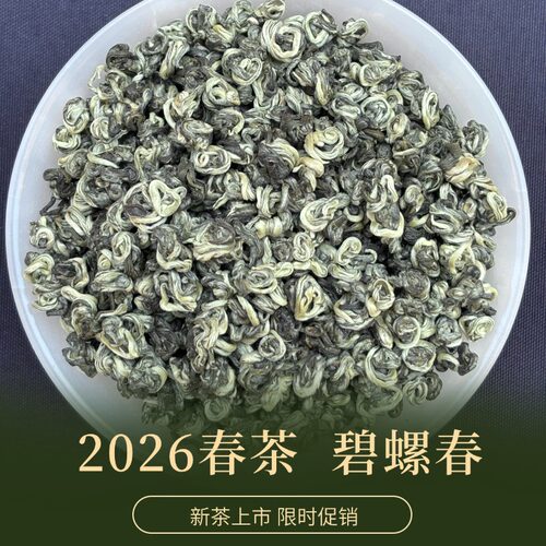 碧螺春2026明前新茶清香鲜爽绿茶
